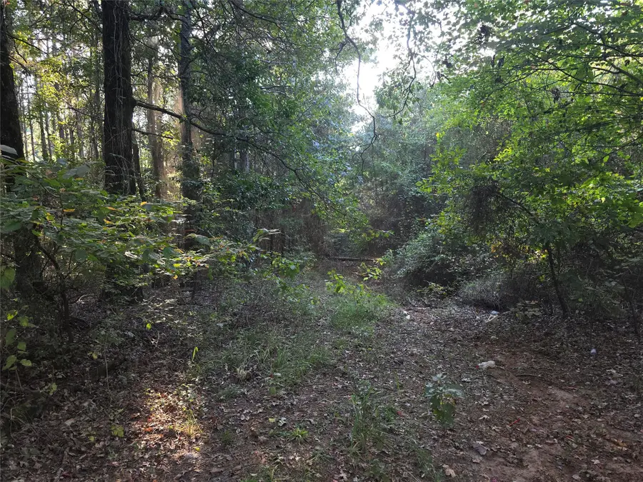 TBD Cr 2864, Hughes Springs, TX 75656 - Image #2