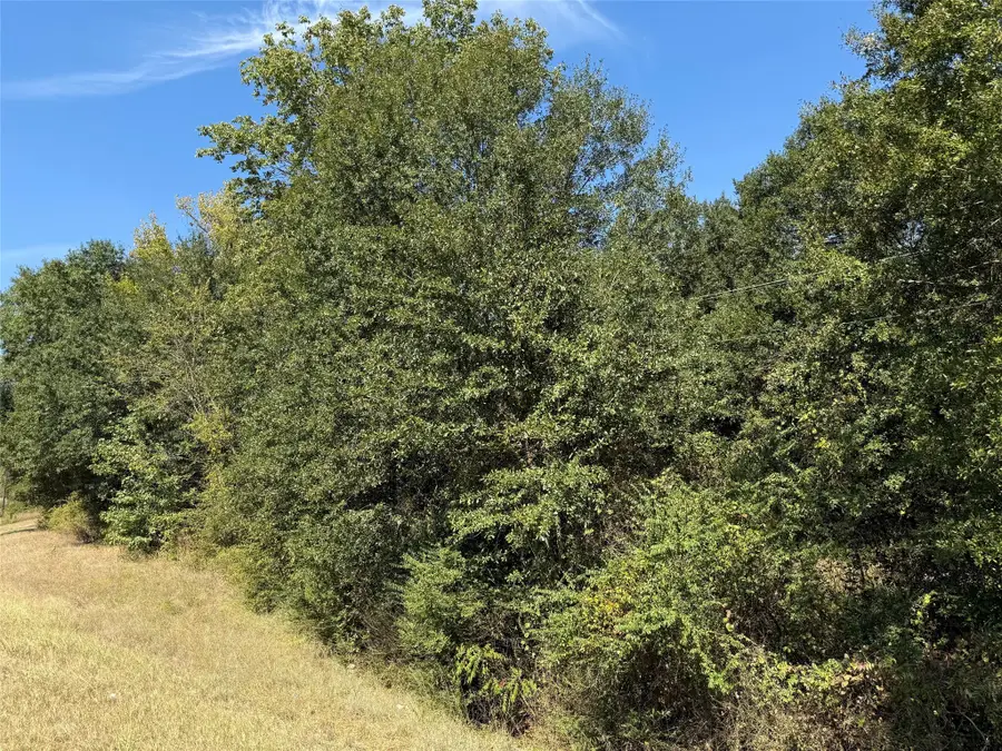 TBD E Us Highway 80, Hawkins, TX 75765 - Image #3