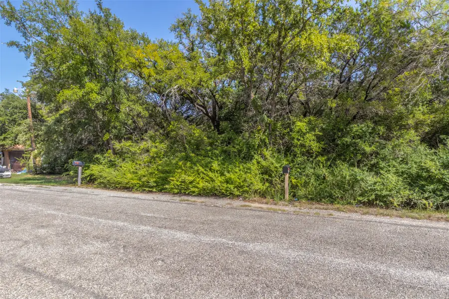 2713 Walnut Street, Granbury, TX 76048 - Image #2