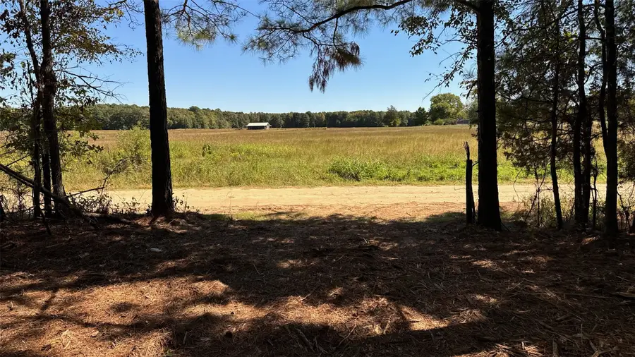 75 County Road 2115, Bagwell, TX 75412 - Image #2