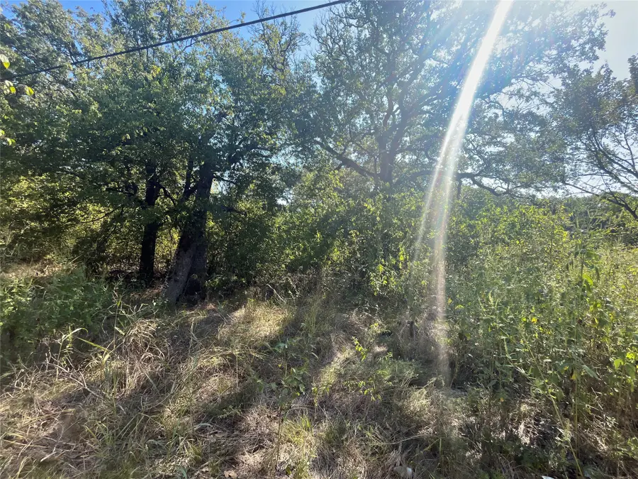 00 Pinewood Drive, Hawk Cove, TX 75474 - Image #3