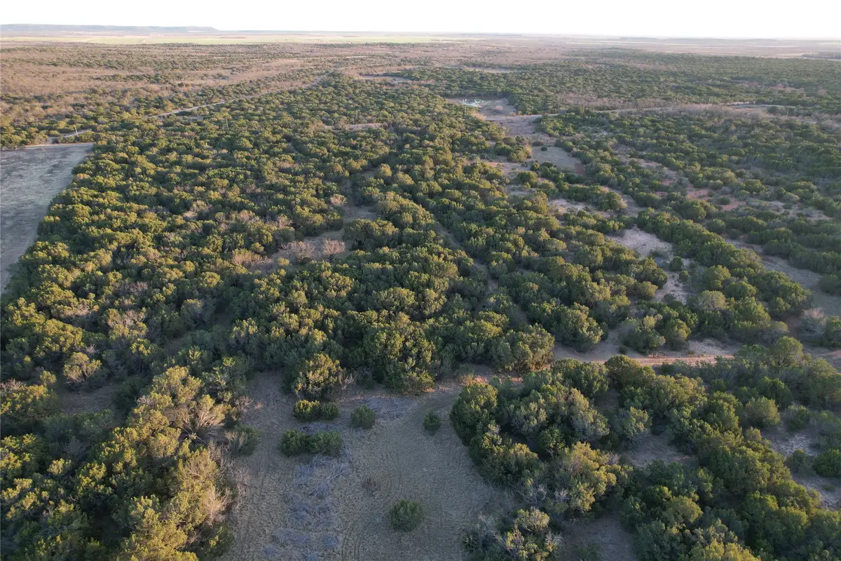 TBD Cr 207, Ovalo, TX 79541 - Image #1