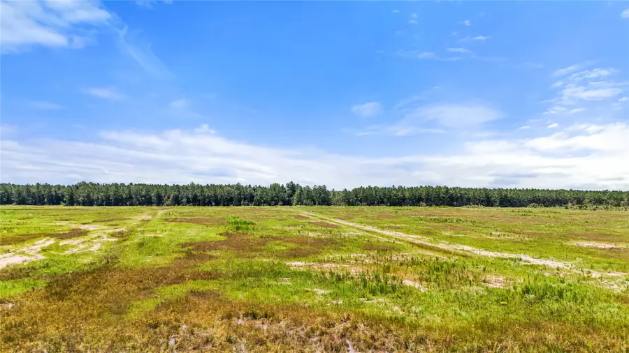 07 Old Beaumont Road, Sour Lake, TX 77659 - Image #3