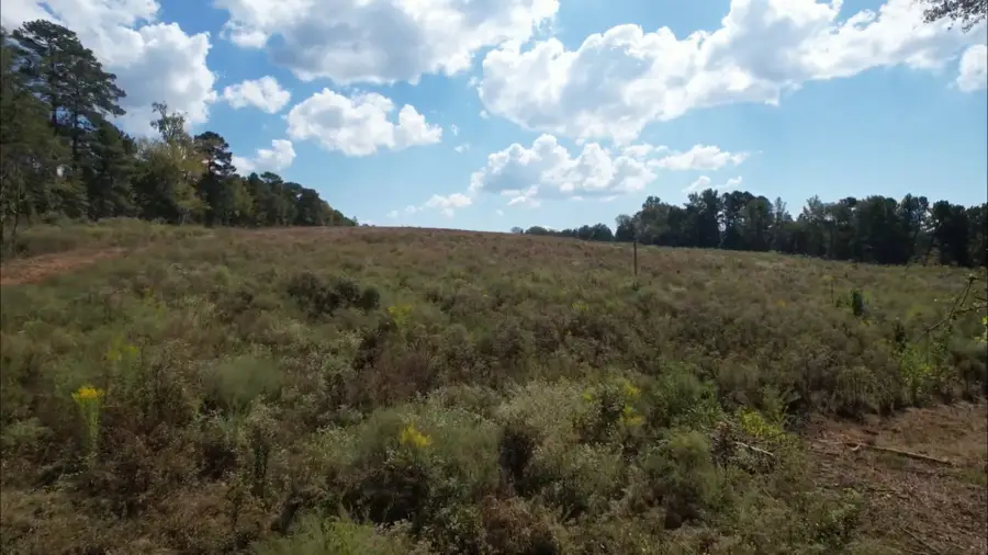 TBD-B County Road 4172d, Laneville, TX 75667 - Image #3