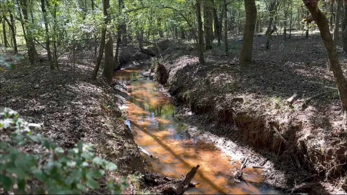 TBD-D County Road 4172d, Laneville, TX 75667 - Image #1