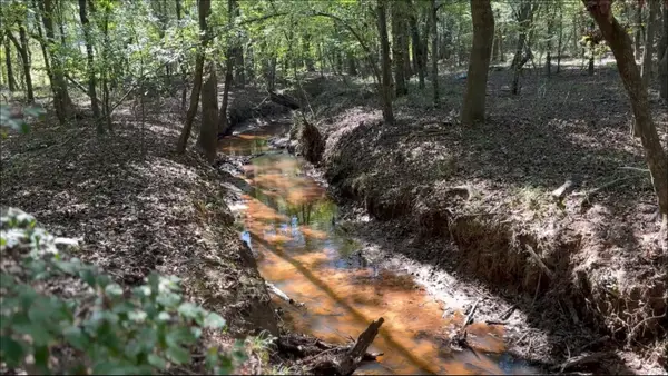 TBD-D County Road 4172d, Laneville, TX 75667