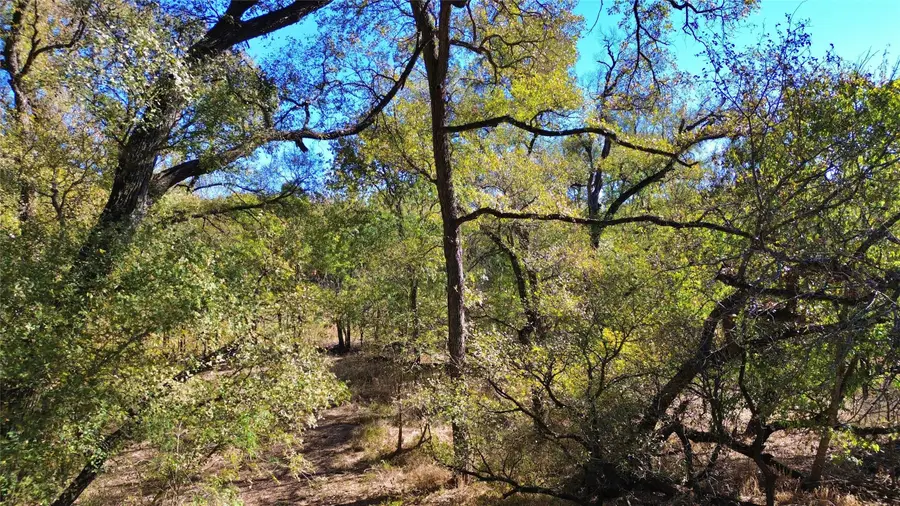 000 Bee Creek Road, Grandview, TX 76050 - Image #3