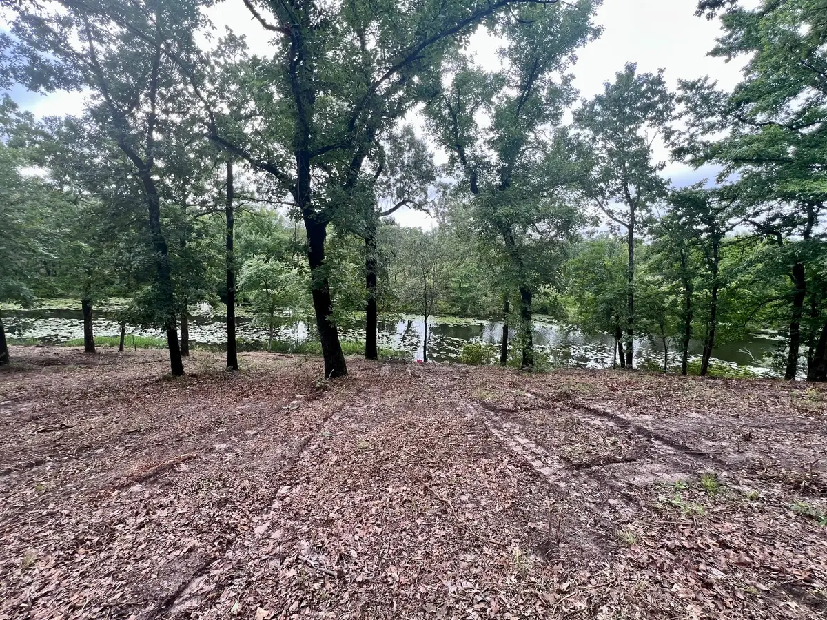 Lot 14 County Road 4801, Athens, TX 75752 - Image #1