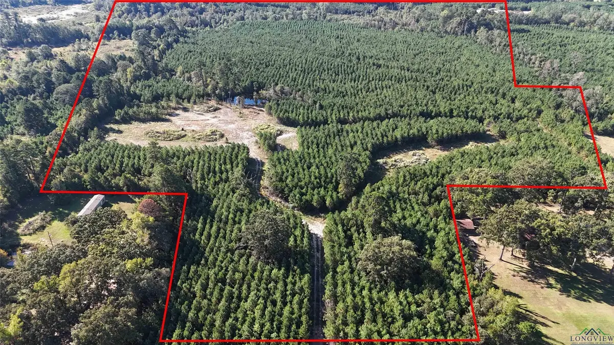 TBD Fm 726, Jefferson, TX 75657 - Image #1