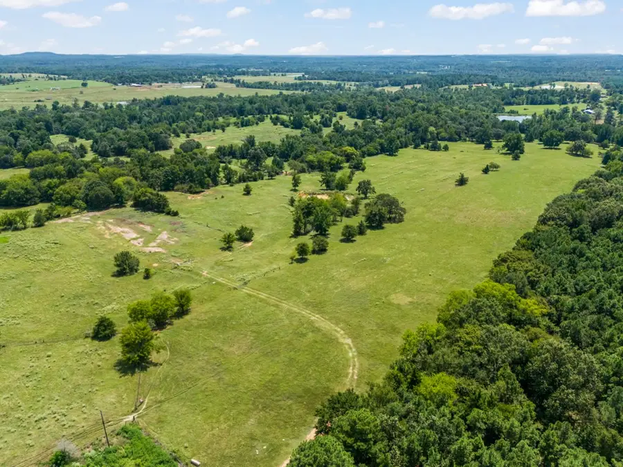 7981 Arrowwood Road, Gilmer, TX 75644 - Image #2