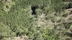 0000 Langham Road, Kountze, TX 77625 - #2