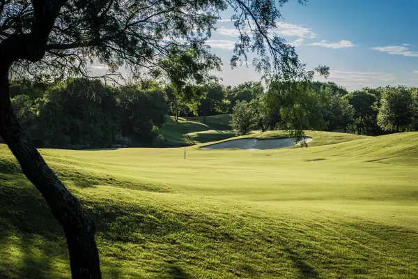 1701 Shadow Rock Court, Whitney, TX 76692