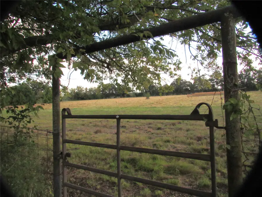 269 County Road 1008, Wolfe City, TX 75496 - Image #2