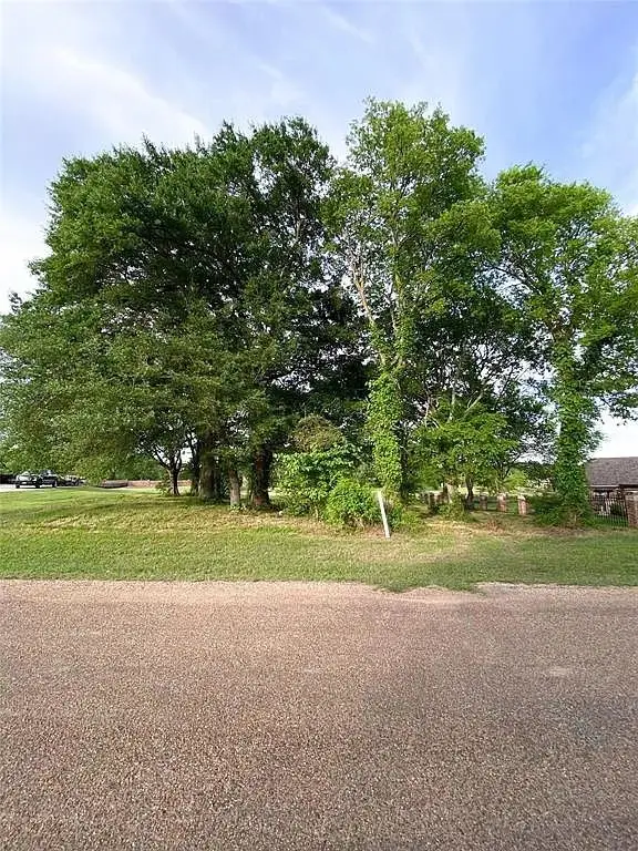 107 Cape Shore Drive, Cedar Creek Lake, TX 75143 - Image #3