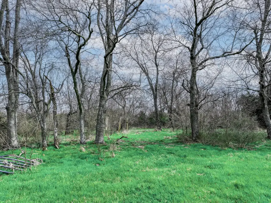 T B D Fm 903 Highway, Celeste, TX 75423 - Image #2