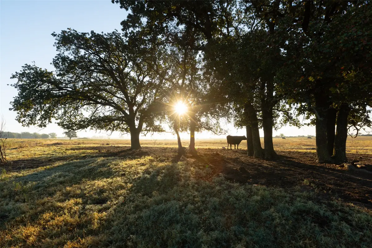 TBD Brushy Road #Tract 5, Granbury, TX 76048 - Image #1