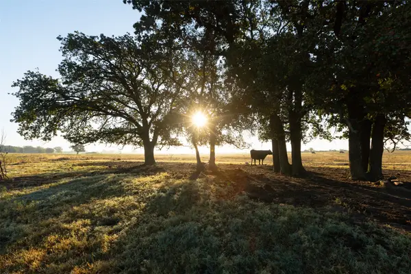 TBD Brushy Road #Tract 5, Granbury, TX 76048