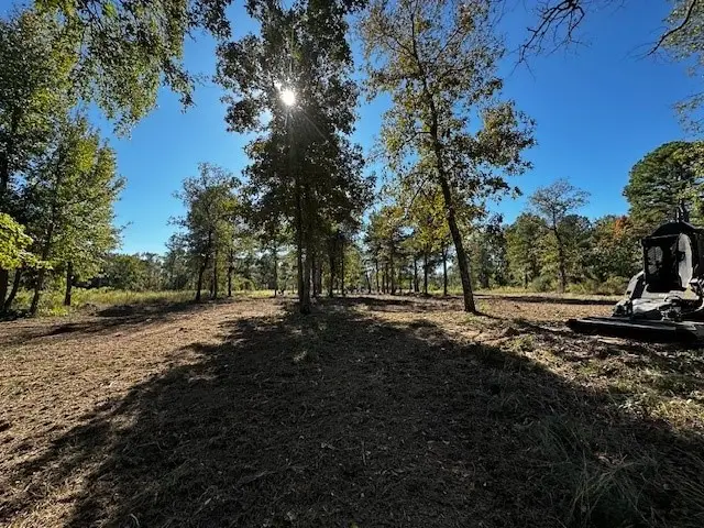 Legacy Shores Lot 21 3142 Shadow Pine Drive, Larue, TX 75770 - Image #3