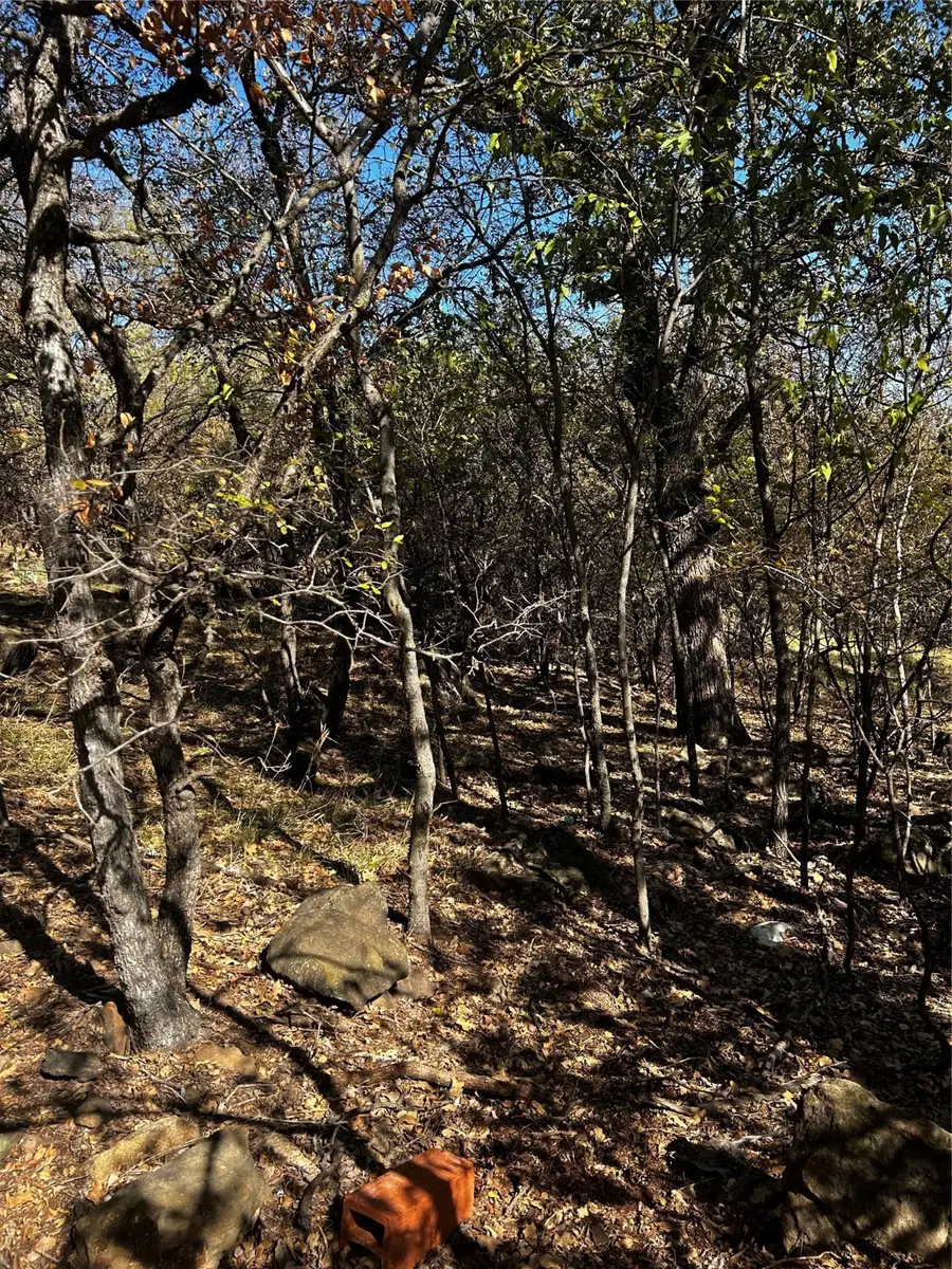 TBD Nw 9th Street, Mineral Wells, TX 25702 - Image #3