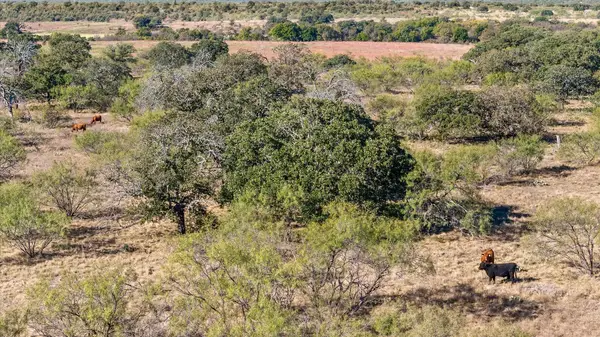 TBD Berry Dairy Road, Bryson, TX 76427