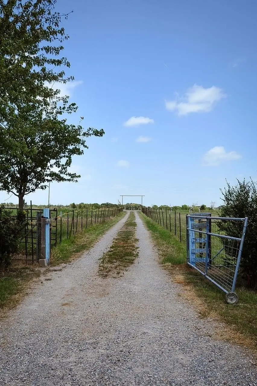 806 N Fm 1752, Savoy, TX 75479 - Image #2