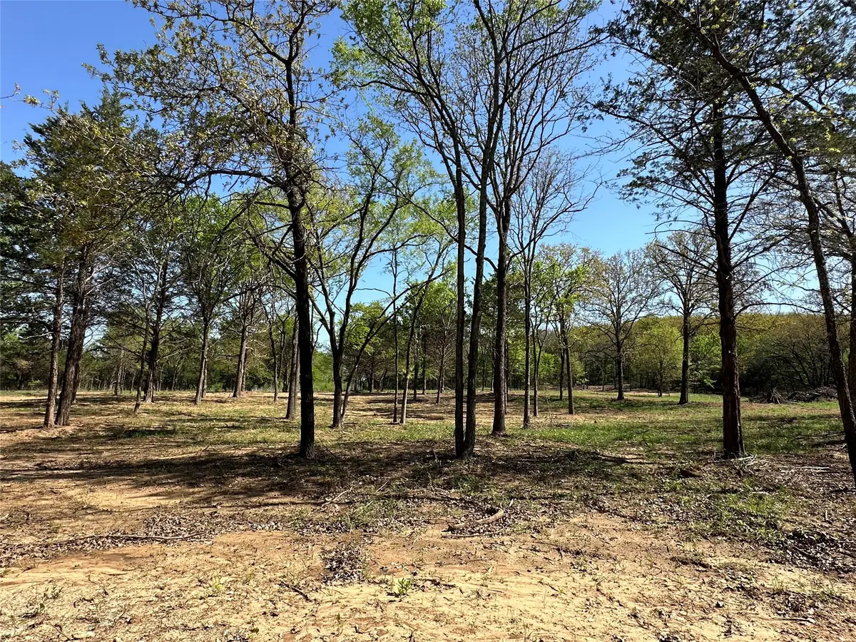 TBD Lot 3 Cr-147, Gainesville, TX 76240 - Image #1