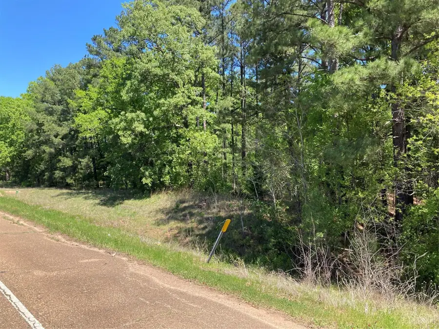 242 Slaughter Road, Homer, LA 71040 - Image #3