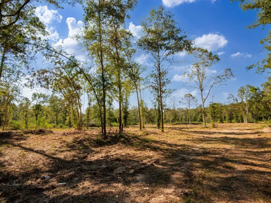 152 Maze Road, Livingston, TX 77351 - Image #3