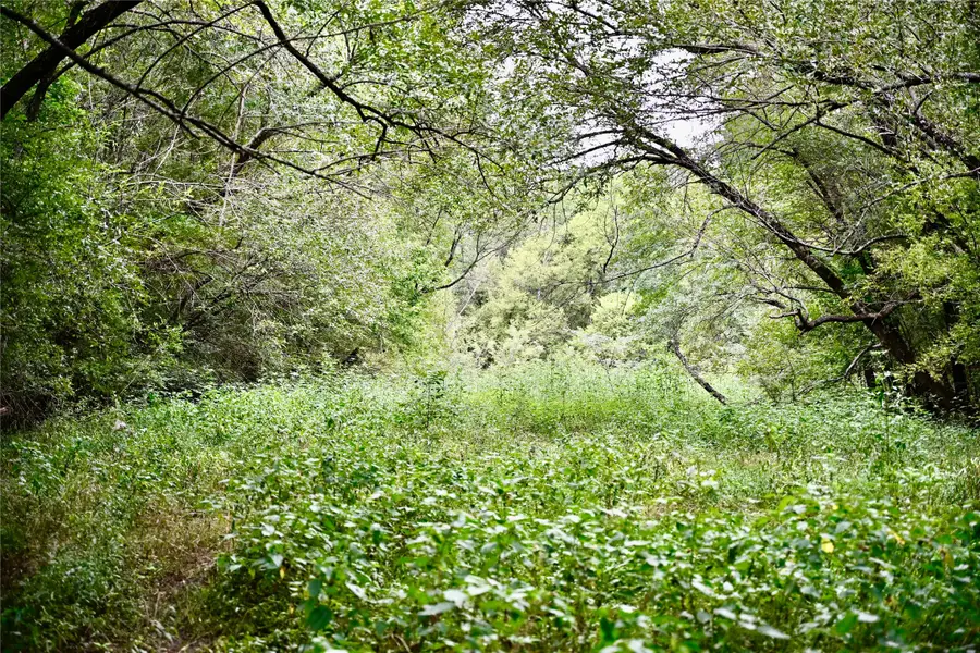 TBD Fm 71 Highway, Talco, TX 75487 - Image #3