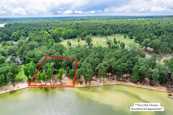 Lot 1 Ezelle Way, Scroggins, TX 75480
