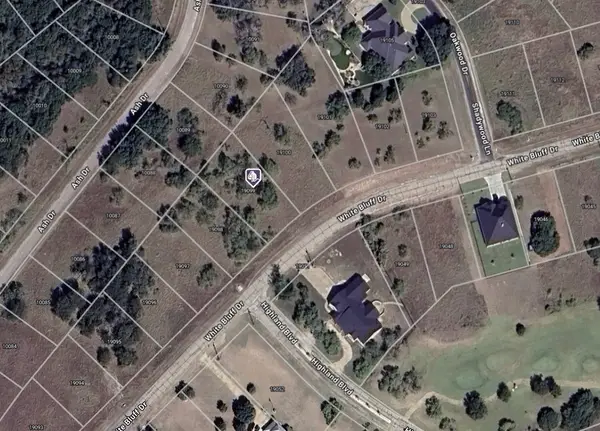 19099 White Bluff Drive, Whitney, TX 76692