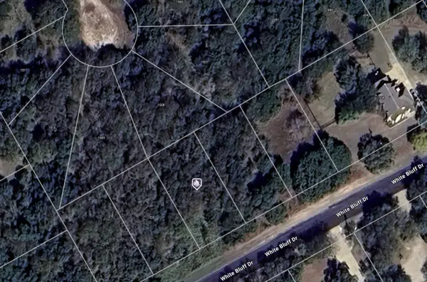 1531 White Bluff Drive, Whitney, TX 76692