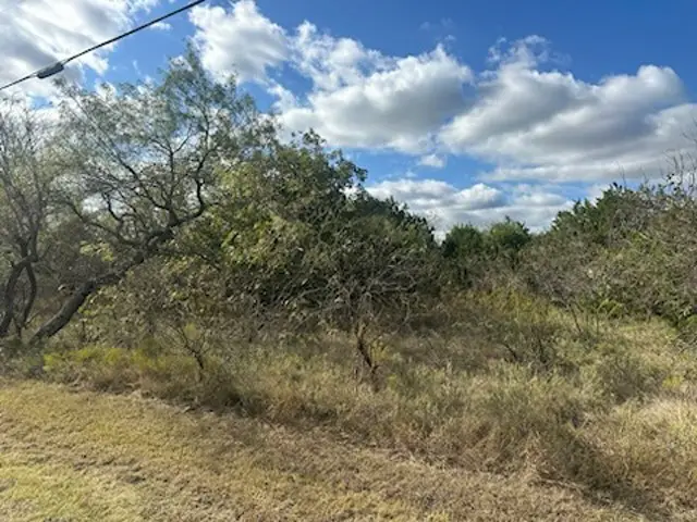 1607 White Bluff Drive, Whitney, TX 76692 - Image #3