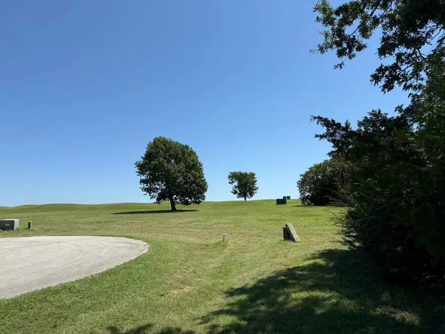 44 Dublin Court, Gordonville, TX 76245 - Image #3