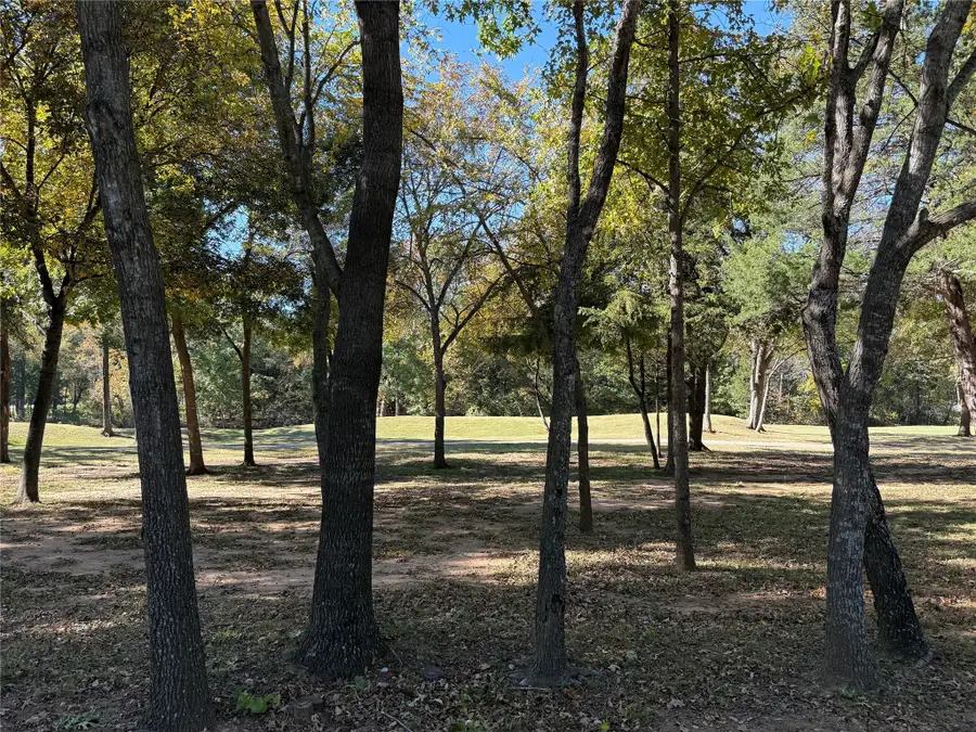 230 Clubhouse Road, Gordonville, TX 76245 - Image #2