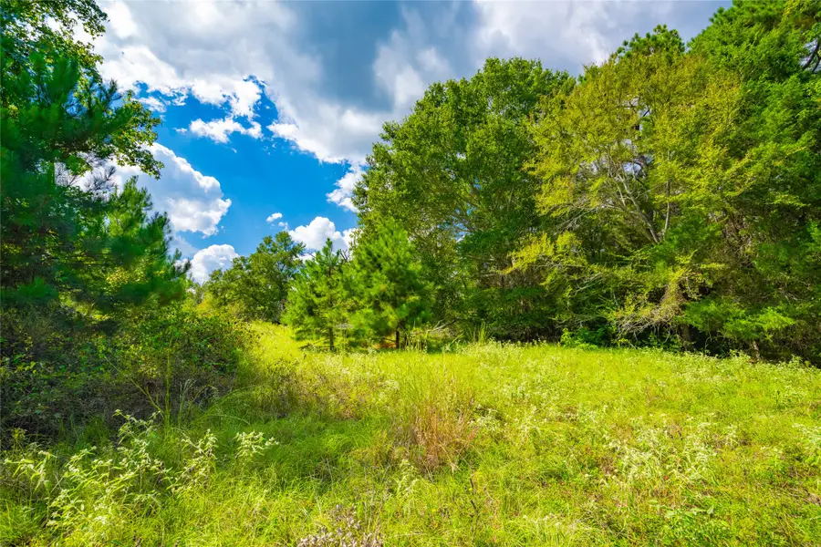 14799 Fm 315, Palestine, TX 75803 - Image #2