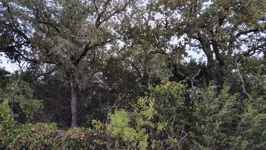 TBD Cr 218, Abilene, TX 79602 - Image #2