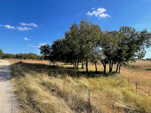 1150 Dps Tower Road #lot 22, Perrin, TX 76486 - Image #2