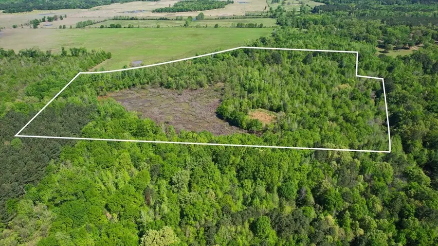 TBD Cr 1143, Daingerfield, TX 75638 - Image #2