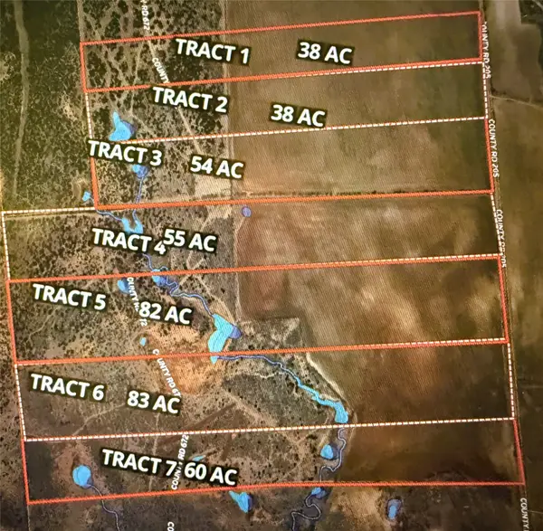 TBD Lot 4 County Road 205, Ovalo, TX 79541