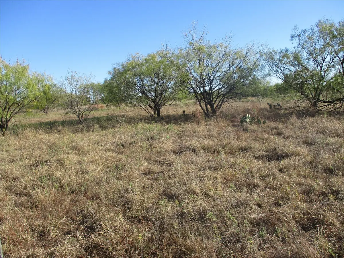 TBD County Road 328, Eastland, TX 76448 - Image #1