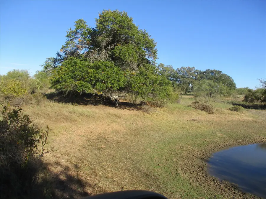 TBD County Road 328, Eastland, TX 76448 - Image #3