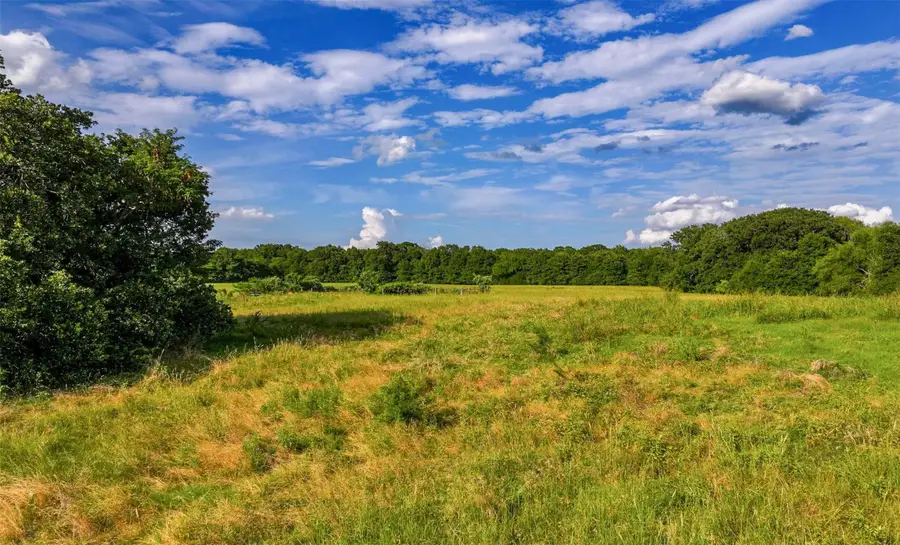 18575 County Road 4069, Kemp, TX 75143 - Image #3