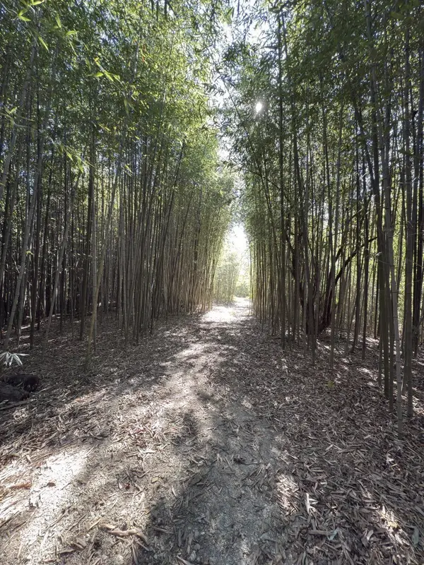 456 Marshall Ivy Rd, Huntington, TX 75949