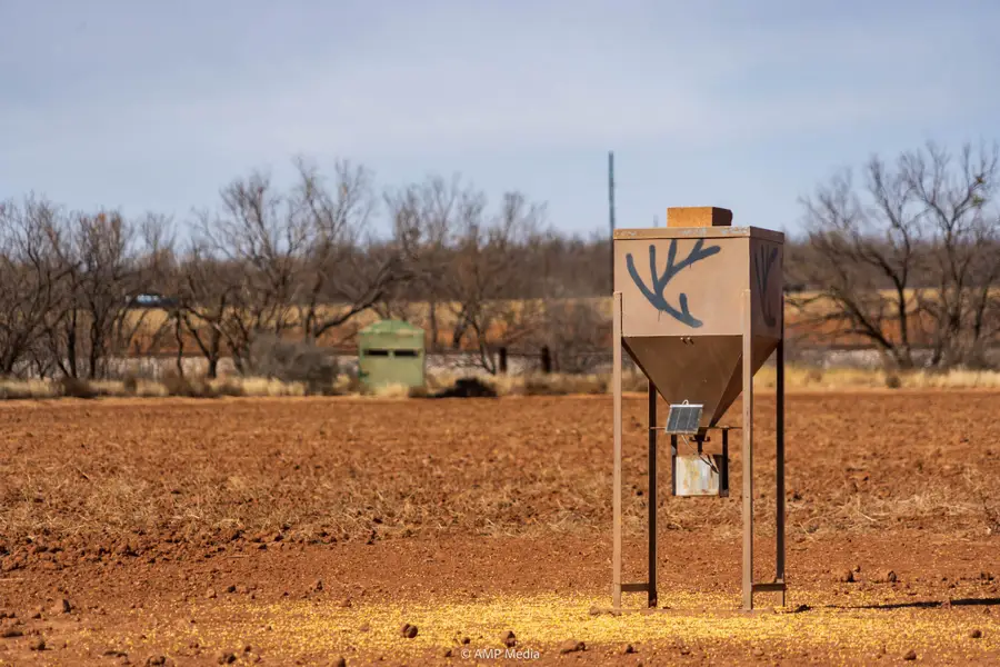 TBD County Road 260, Colorado City, TX 79512 - Image #3