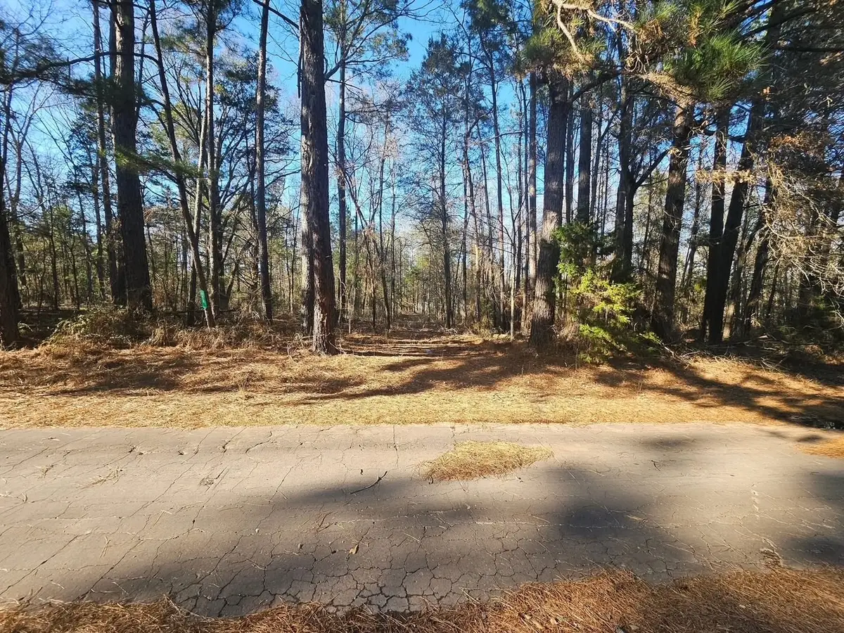 152 County Road 4247, Pittsburg, TX 75686 - Image #1