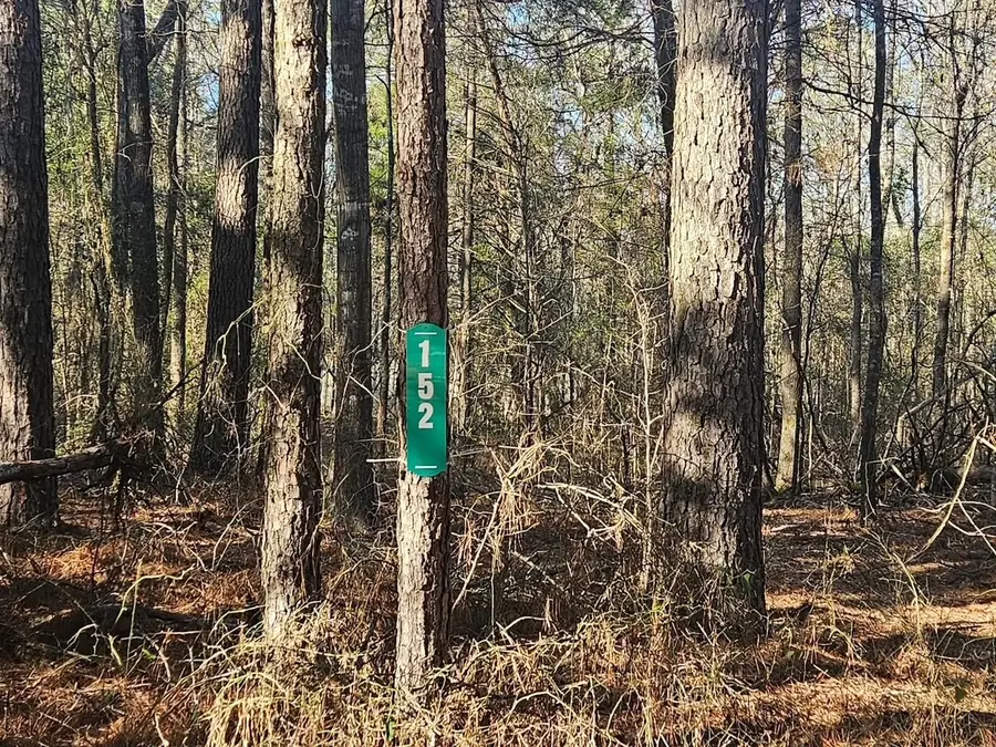 152 County Road 4247, Pittsburg, TX 75686 - Image #3