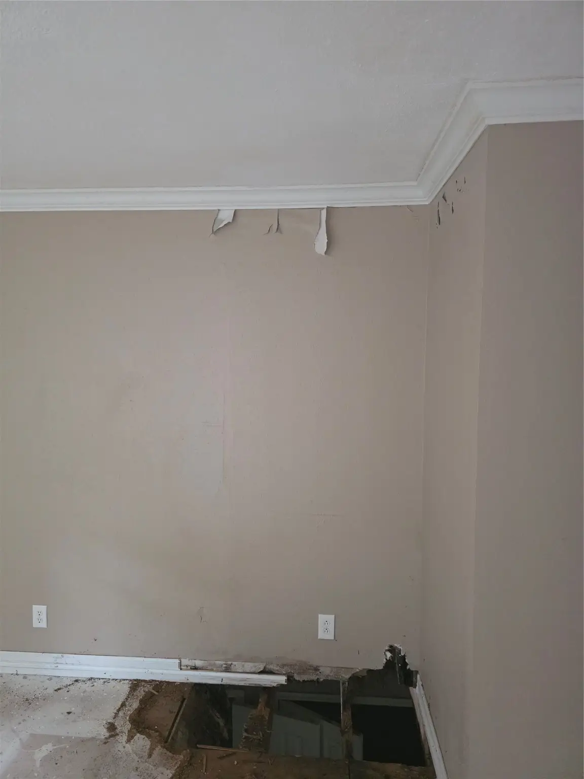 55 Birch Street, Trinity, TX 75862 - Image #1