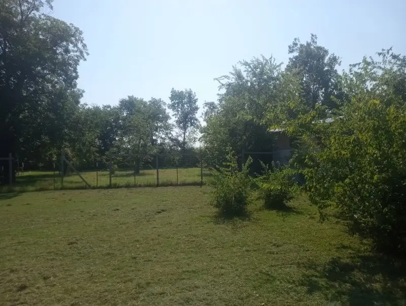 602 Depot Street, Whitesboro, TX 76273 - Image #2