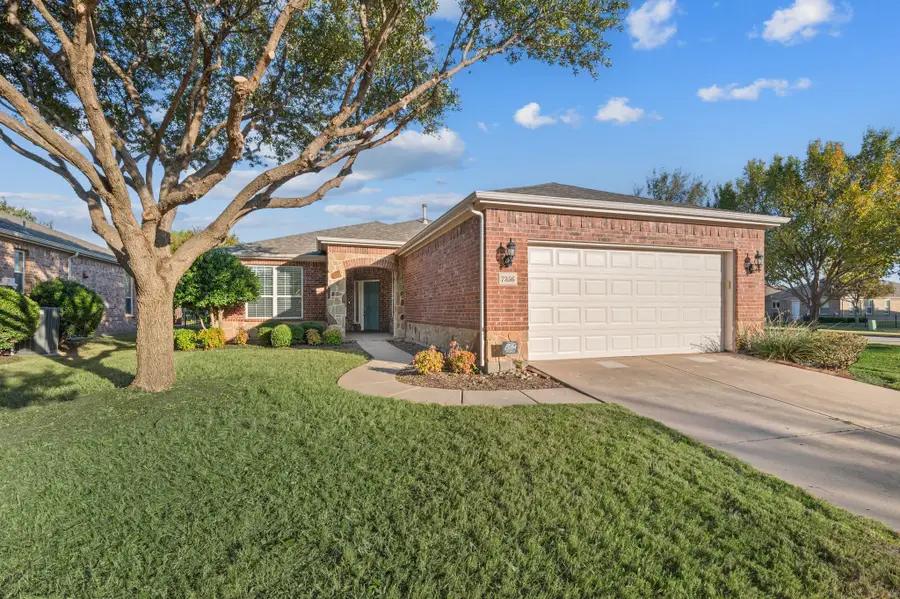 7356 Pasatiempo Drive, Frisco, TX 75036 - Image #3